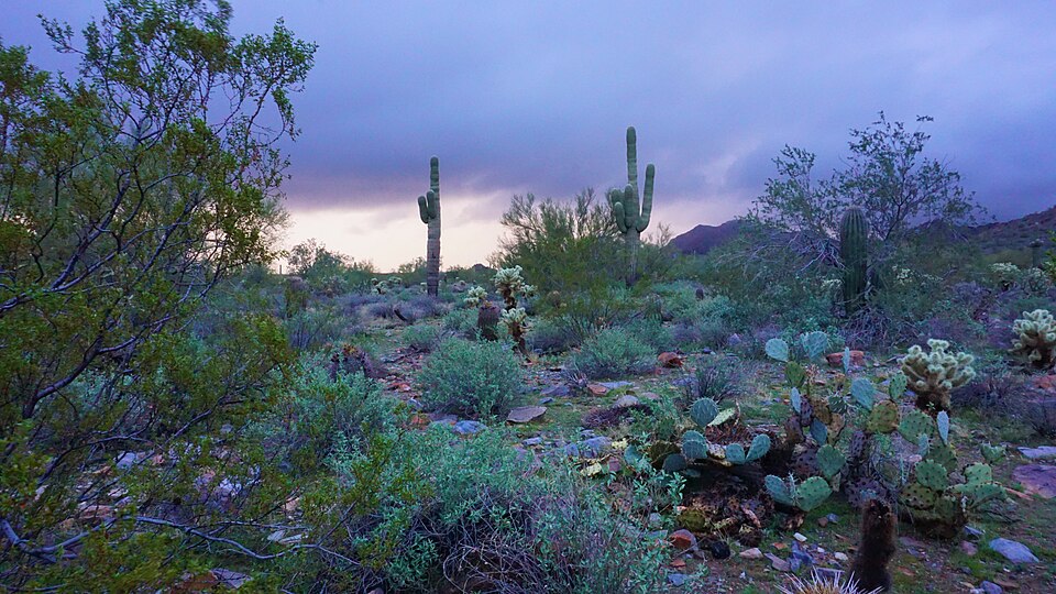 Scottsdale, Arizona Overview